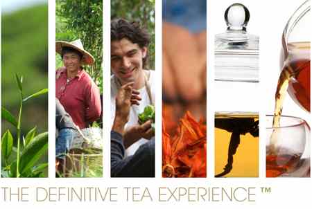 jing tea